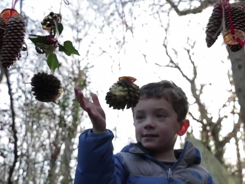 Natural Christmas decorations